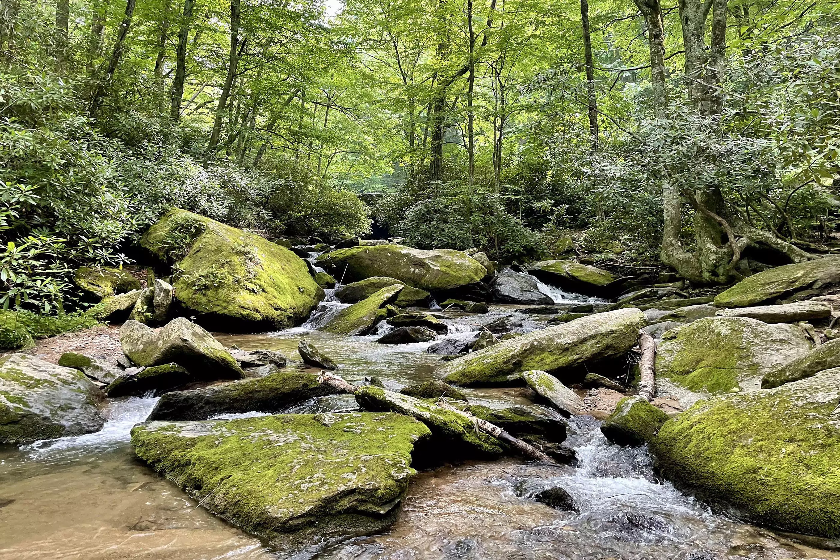 Blue Ridge, NC