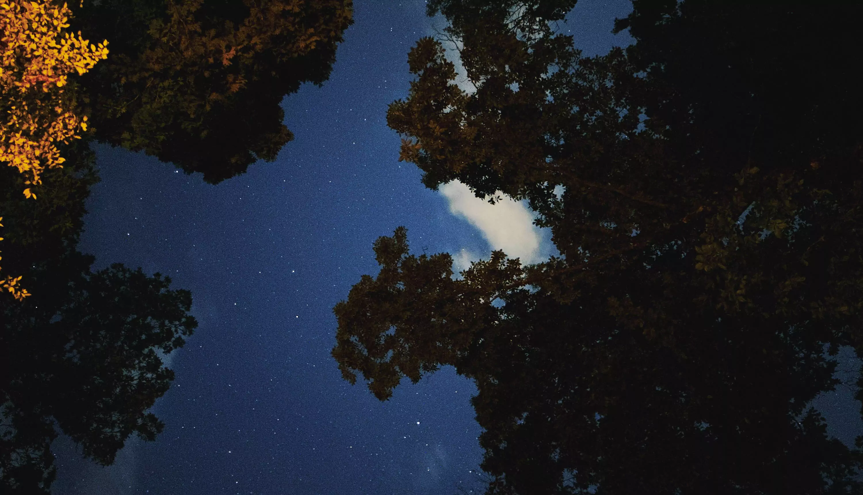 Hackettstown, NJ