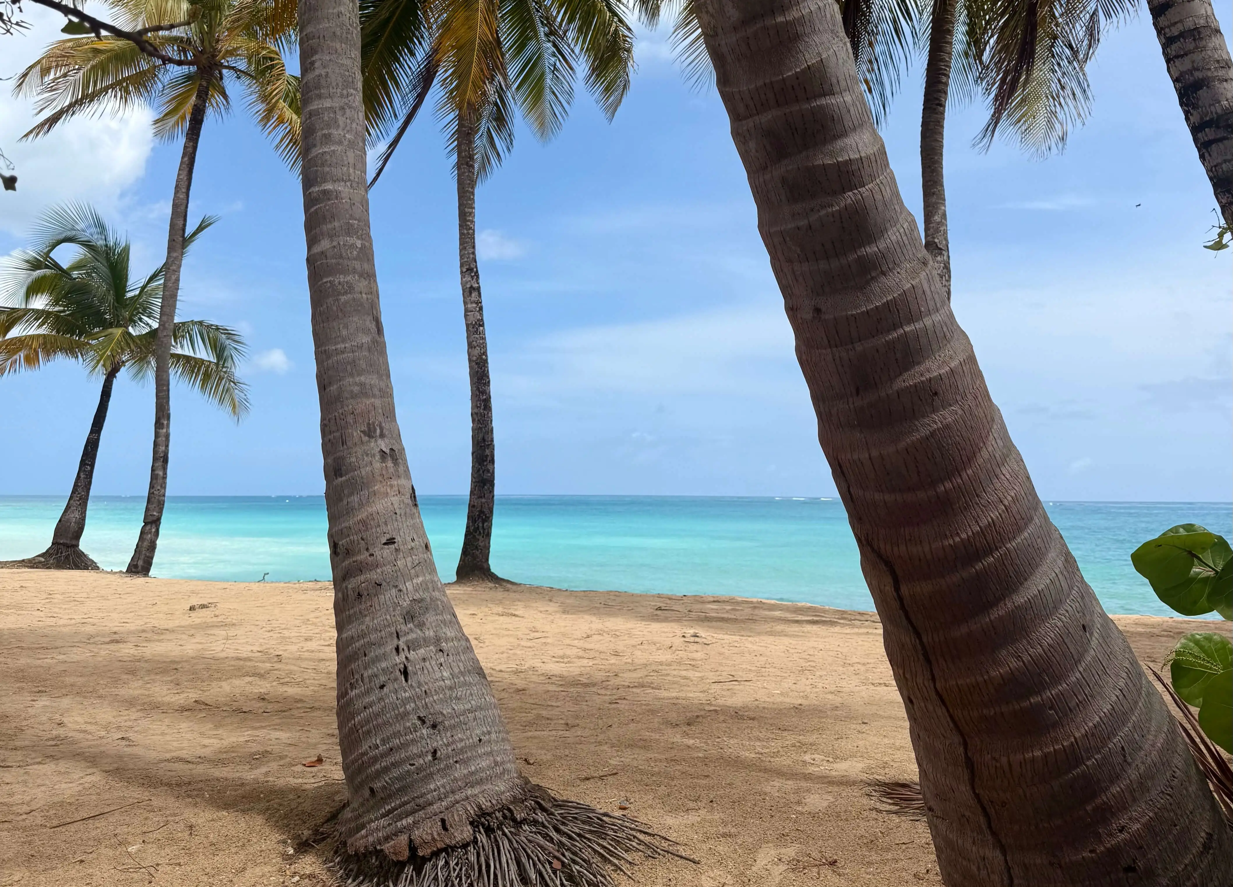 San Juan, PR
